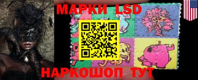 ECSTASY Конаково