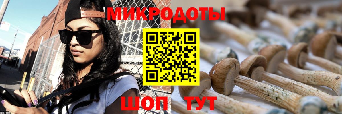 Псилоцибиновые грибы Psilocybine cubensis  Псилоцибиновые грибы мухоморы  Вход с VPN  купить закладку  Тверь 